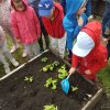 Innowacja Pedagogiczna "Zaczarowany ogród"